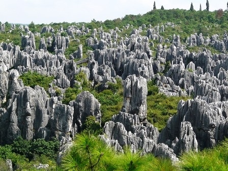 Du ngoạn rừng đá - 7 An Tử